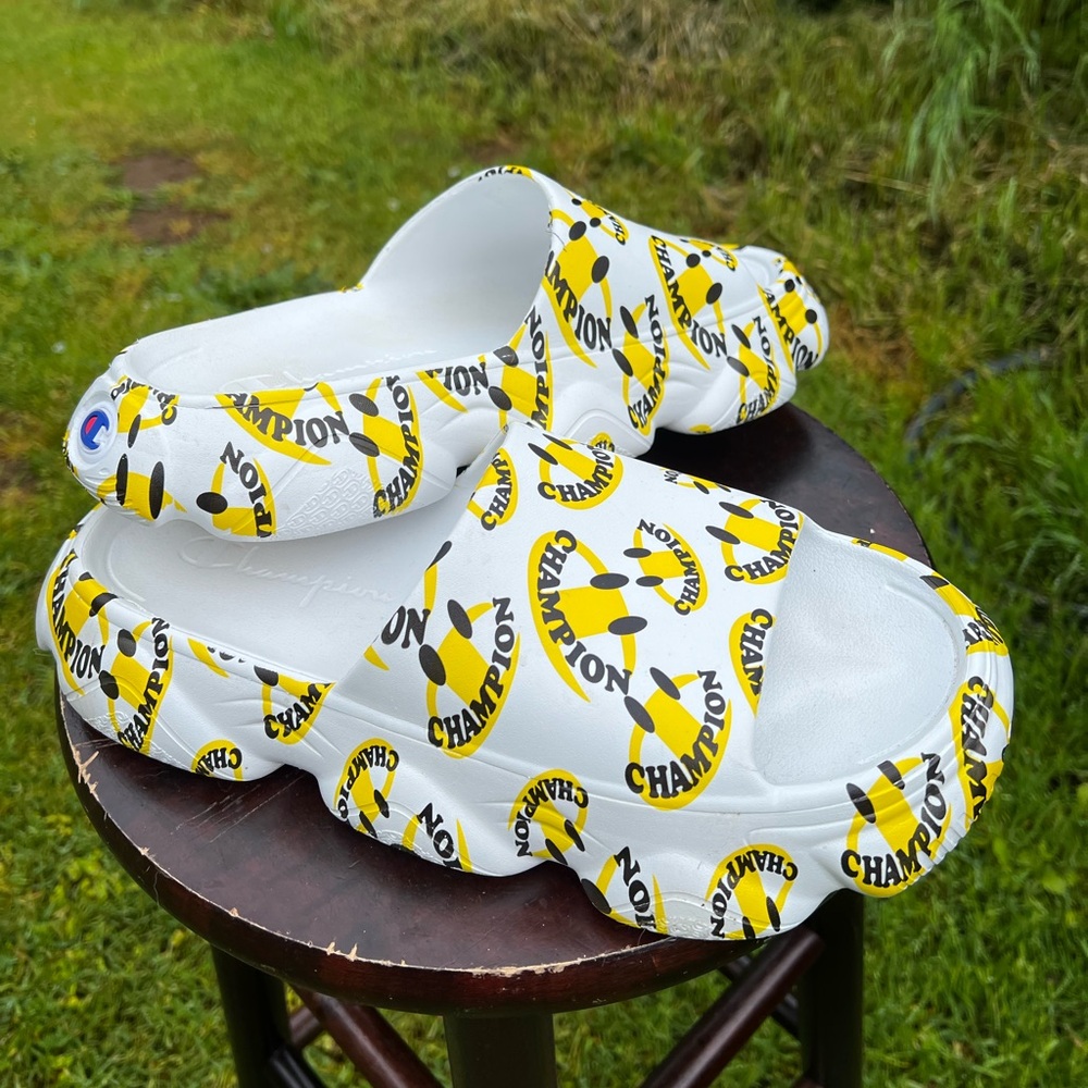 Champion Smiley Face Slides